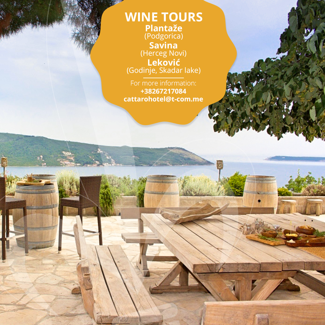 Wine tours