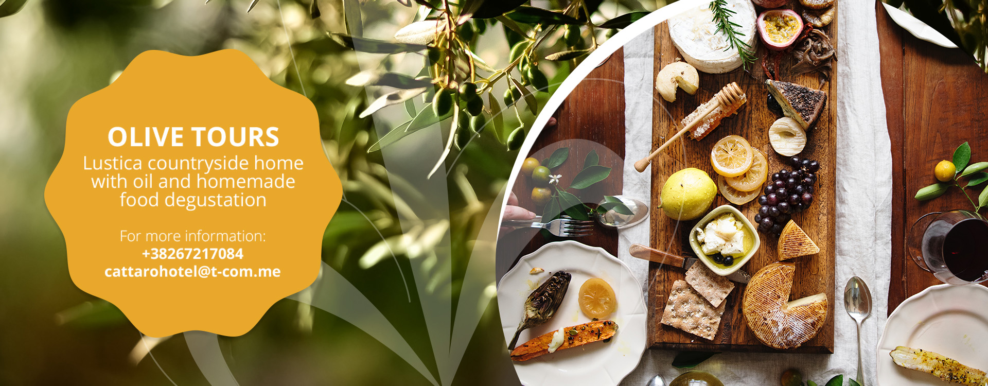 Olive tours - Cattaro tour
